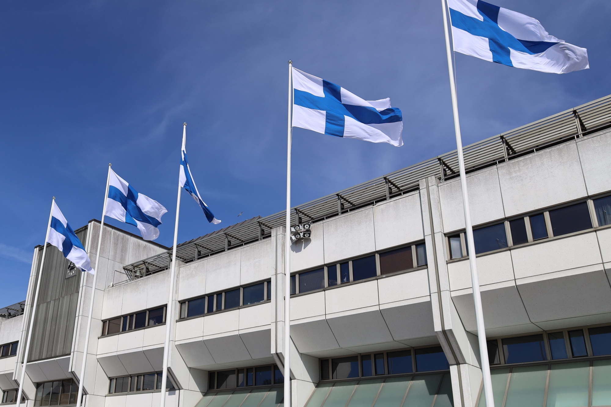 Suomenlippuja saloissa kaupungintalon edustalla.